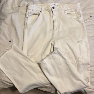 Carly Jean Los Angeles Chrissy Jeans